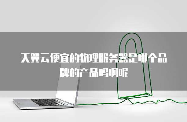 天翼云便宜的物理服务器是哪个品牌的产品吗啊呢