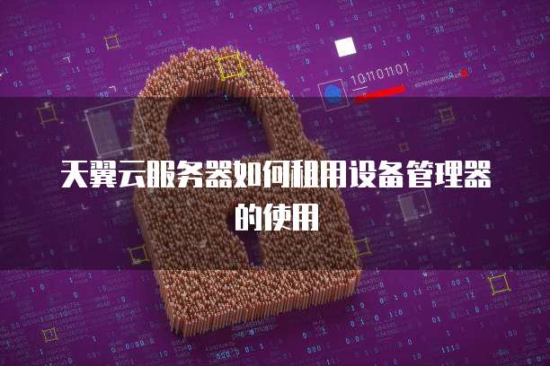 天翼云服务器如何租用设备管理器的使用