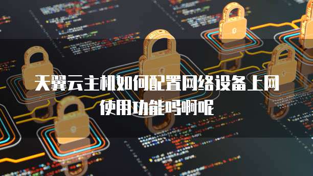 天翼云主机如何配置网络设备上网使用功能吗啊呢