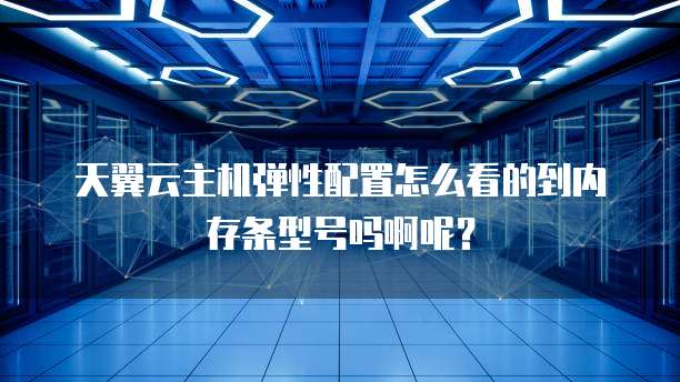 天翼云主机弹性配置怎么看的到内存条型号吗啊呢?
