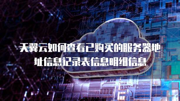 天翼云如何查看已购买的服务器地址信息记录表信息明细信息