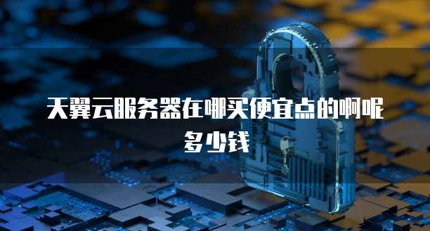 天翼云服务器在哪买便宜点的啊呢多少钱