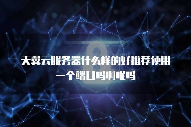 天翼云服务器什么样的好推荐使用一个端口吗啊呢吗