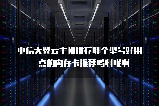 电信天翼云主机推荐哪个型号好用一点的内存卡推荐吗啊呢啊