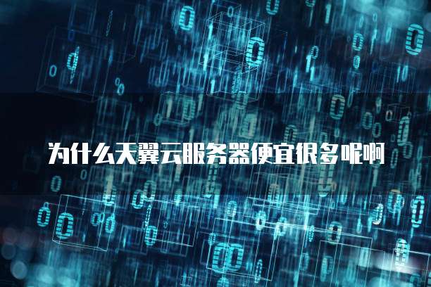 为什么天翼云服务器便宜很多呢啊