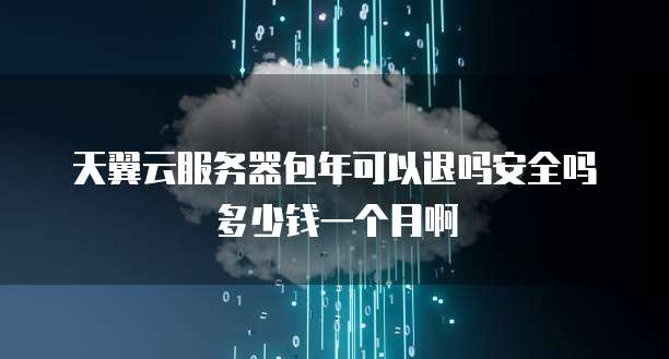天翼云服务器包年可以退吗安全吗多少钱一个月啊