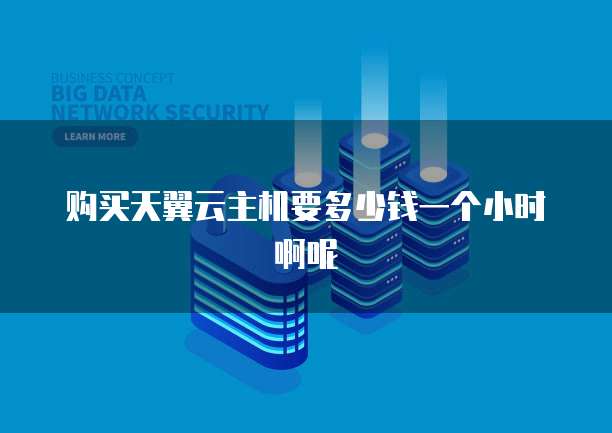 购买天翼云主机要多少钱一个小时啊呢