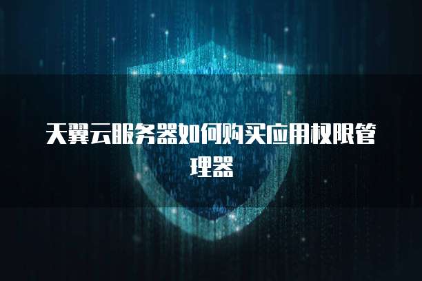 天翼云服务器如何购买应用权限管理器