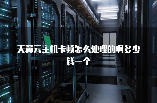 天翼云主机卡顿怎么处理的啊多少钱一个
