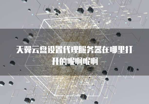 天翼云盘设置代理服务器在哪里打开的呢啊呢啊