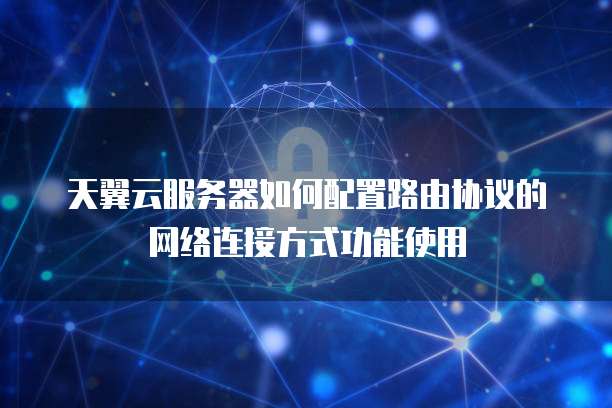 天翼云服务器如何配置路由协议的网络连接方式功能使用