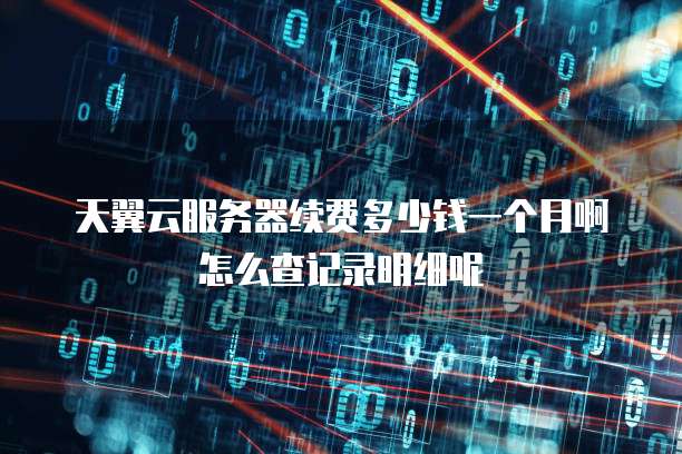 天翼云服务器续费多少钱一个月啊怎么查记录明细呢