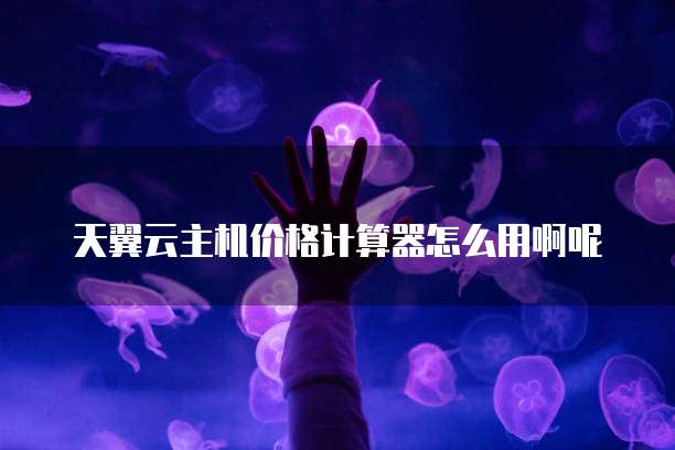 天翼云主机价格计算器怎么用啊呢