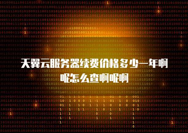 天翼云服务器续费价格多少一年啊呢怎么查啊呢啊
