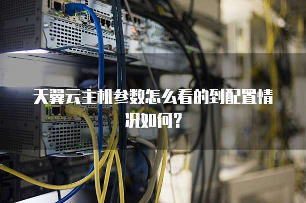 天翼云主机参数怎么看的到配置情况如何?