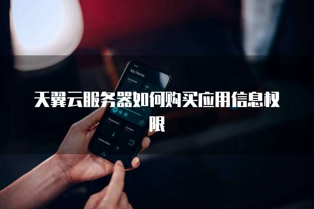 天翼云服务器如何购买应用信息权限
