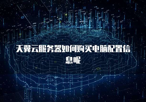 天翼云服务器如何购买电脑配置信息呢