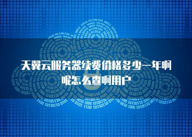 天翼云服务器续费价格多少一年啊呢怎么查啊用户