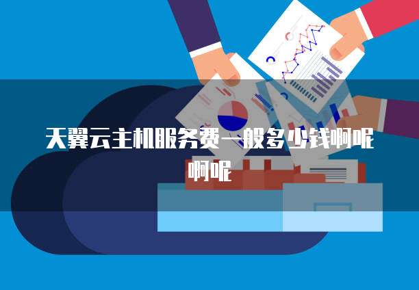 天翼云主机服务费一般多少钱啊呢啊呢