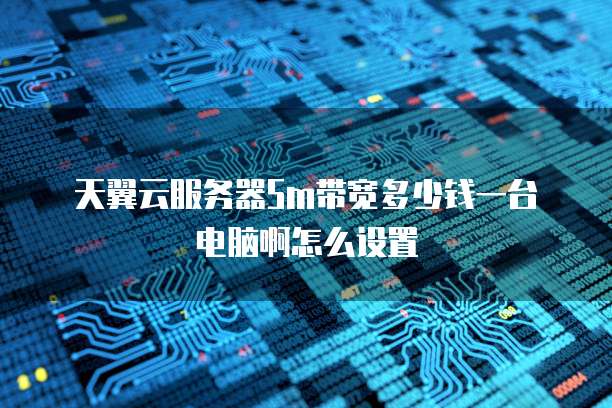 天翼云服务器5m带宽多少钱一台电脑啊怎么设置