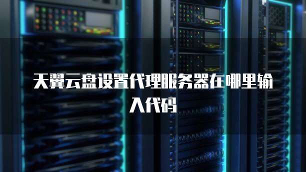 天翼云盘设置代理服务器在哪里输入代码