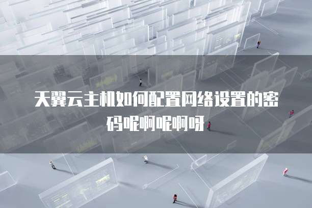 天翼云主机如何配置网络设置的密码呢啊呢啊呀