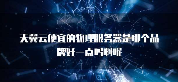 天翼云便宜的物理服务器是哪个品牌好一点吗啊呢