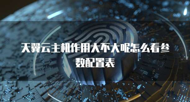 天翼云主机作用大不大呢怎么看参数配置表