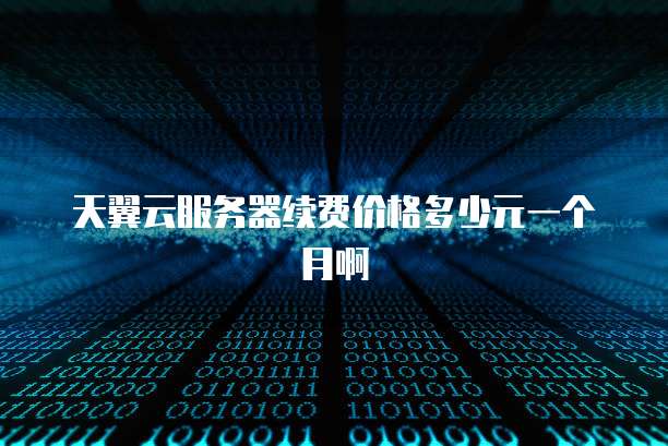 天翼云服务器续费价格多少元一个月啊
