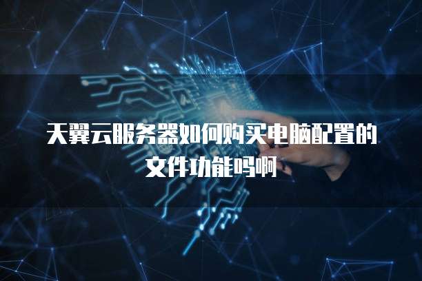 天翼云服务器如何购买电脑配置的文件功能吗啊