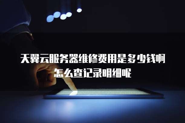 天翼云服务器维修费用是多少钱啊怎么查记录明细呢