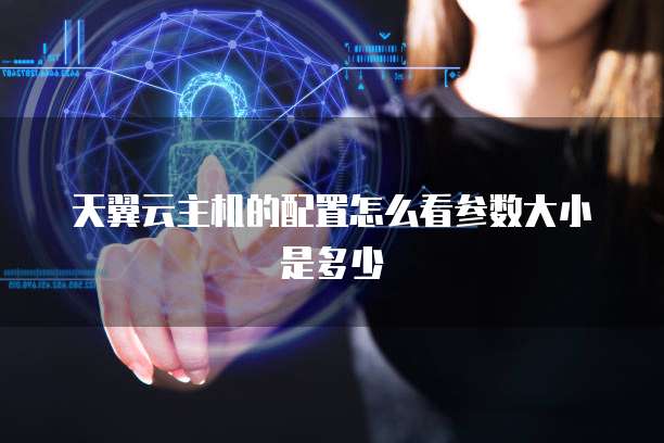 天翼云主机的配置怎么看参数大小是多少