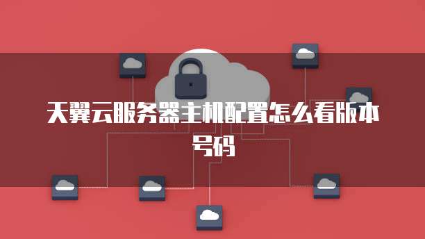 天翼云服务器主机配置怎么看版本号码