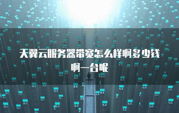 天翼云服务器带宽怎么样啊多少钱啊一台呢