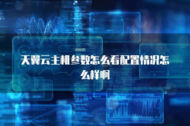 天翼云主机参数怎么看配置情况怎么样啊