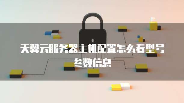 天翼云服务器主机配置怎么看型号参数信息