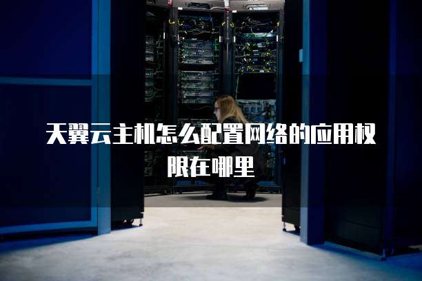 天翼云主机怎么配置网络的应用权限在哪里