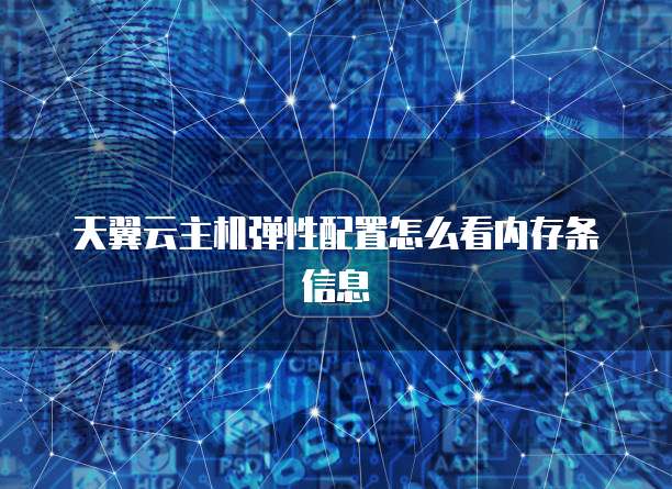 天翼云主机弹性配置怎么看内存条信息