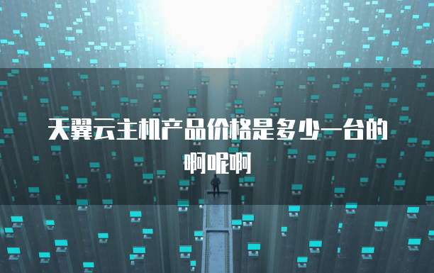 天翼云主机产品价格是多少一台的啊呢啊