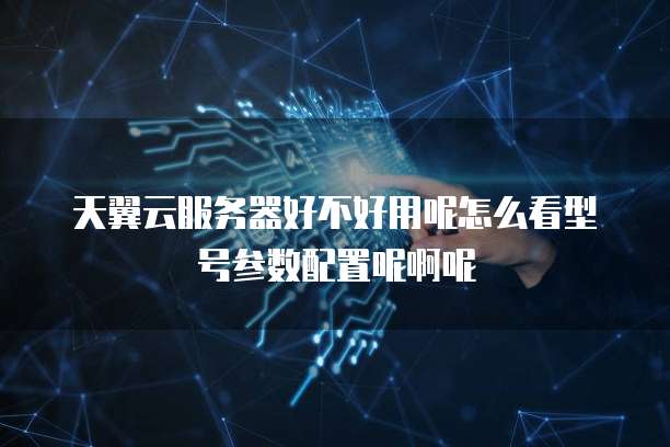 天翼云服务器好不好用呢怎么看型号参数配置呢啊呢