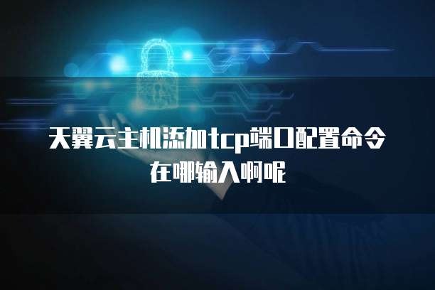 天翼云主机添加tcp端口配置命令在哪输入啊呢