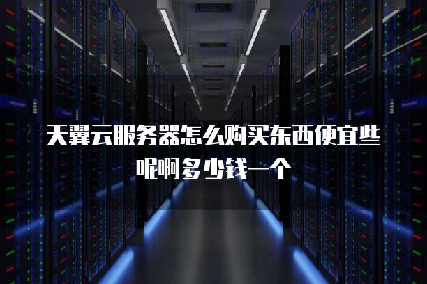 天翼云服务器怎么购买东西便宜些呢啊多少钱一个