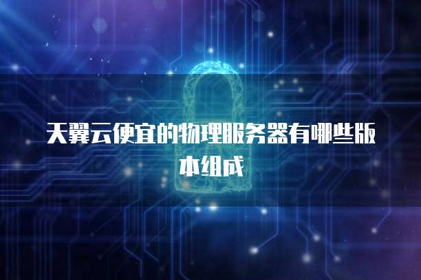 天翼云便宜的物理服务器有哪些版本组成