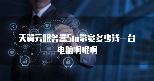 天翼云服务器5m带宽多少钱一台电脑啊呢啊