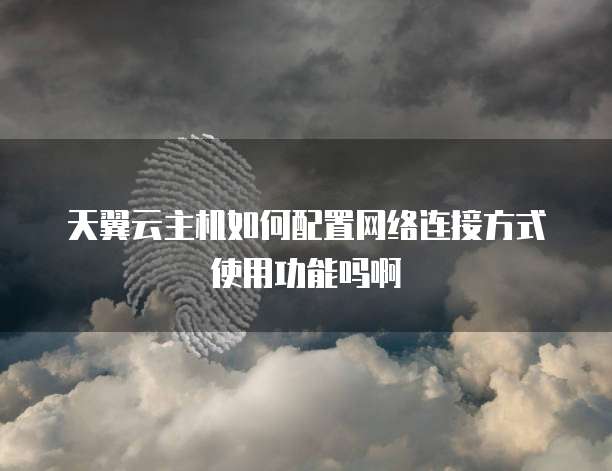 天翼云主机如何配置网络连接方式使用功能吗啊