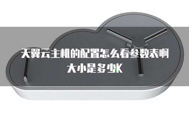 天翼云主机的配置怎么看参数表啊大小是多少K