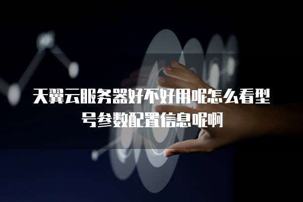 天翼云服务器好不好用呢怎么看型号参数配置信息呢啊
