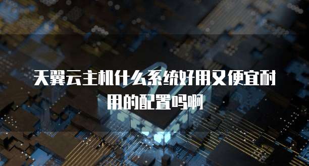 天翼云主机什么系统好用又便宜耐用的配置吗啊