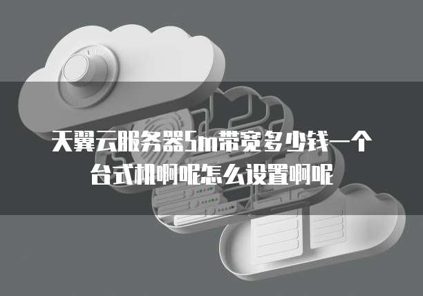 天翼云服务器5m带宽多少钱一个台式机啊呢怎么设置啊呢