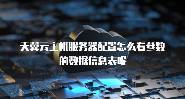 天翼云主机服务器配置怎么看参数的数据信息表呢